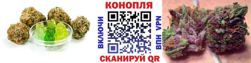 Cannafood конопля  Камышин 
