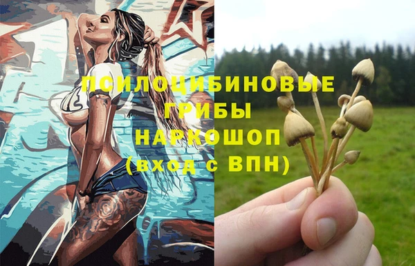 ALPHA-PVP Алексин