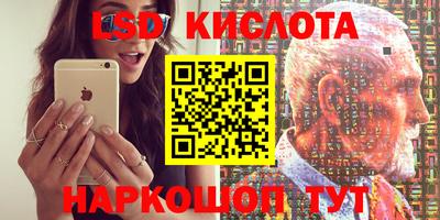 шишки Кимры