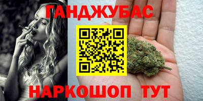 шишки Кимры