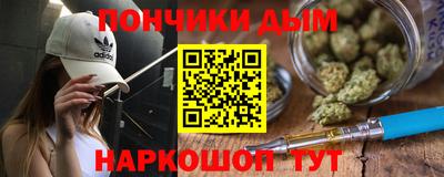 шишки Кимры