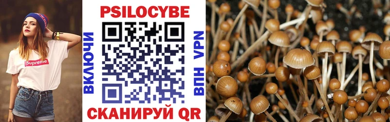 blacksprut вход  Камышин  Галлюциногенные грибы Psilocybine cubensis 