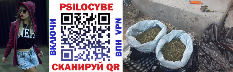 Псилоцибиновые грибы Psilocybe Камышин