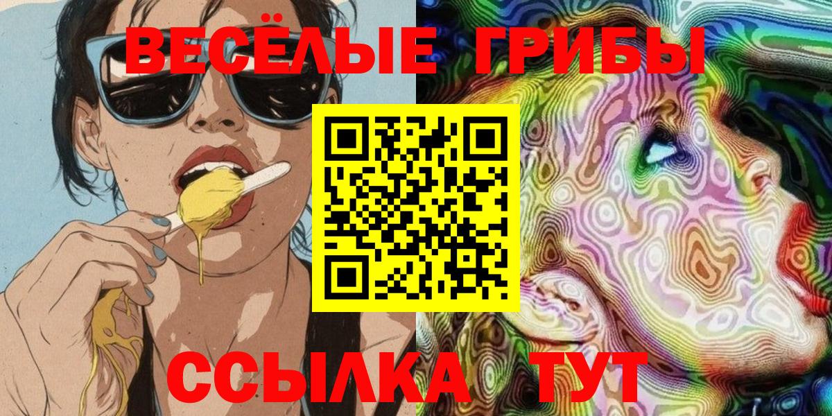 Камышин  Псилоцибиновые грибы Cubensis  Вход с VPN 
